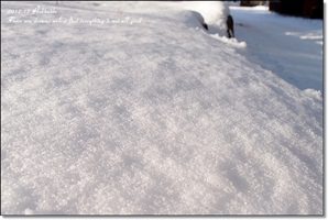 北海道遊記大總匯♥【點小圖進入文章】5天4夜更新完畢~遊記都生出來啦!!>////< - 第5張圖