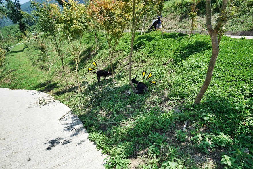 047.jpg 047.jpg