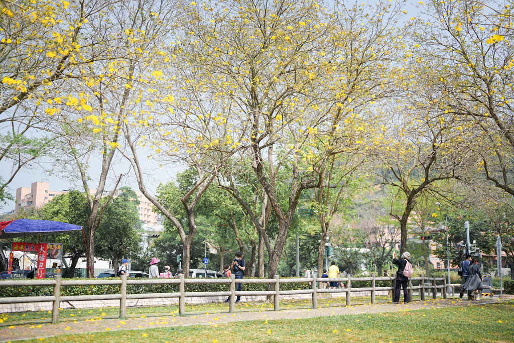 DSC00010.JPG